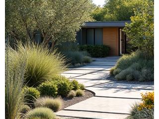 A beautiful xeriscaped garden with various succulents, ornamental grasses, and minimal irrigation, demonstrating water efficiency.